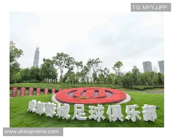 成都足球队的崛起与发展探索:从意识到实践的全景分析