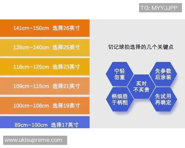 网球新手攻略：战术入门指南